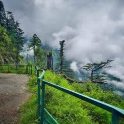 Murree